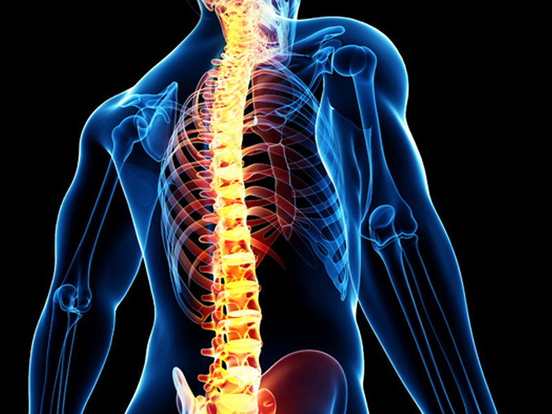 Brain and spine trauma care