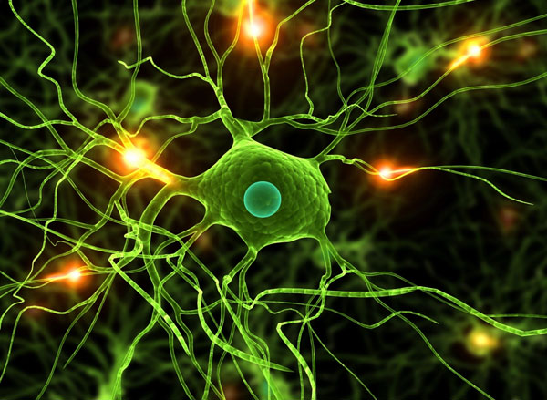 Nerve Disorder Surgery